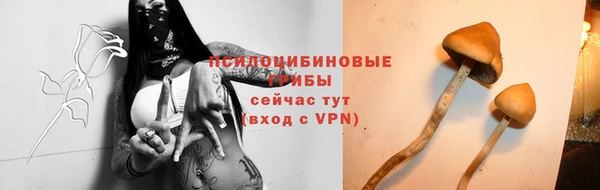 2c-b Алексеевка