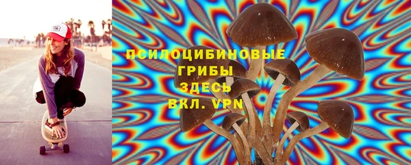 2c-b Алексеевка