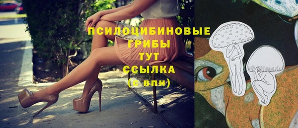 2c-b Алексеевка