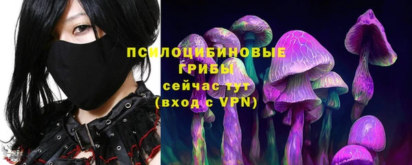прущие грибы Алексин