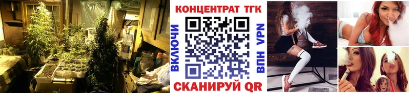 ТГК концентрат  Вилючинск 