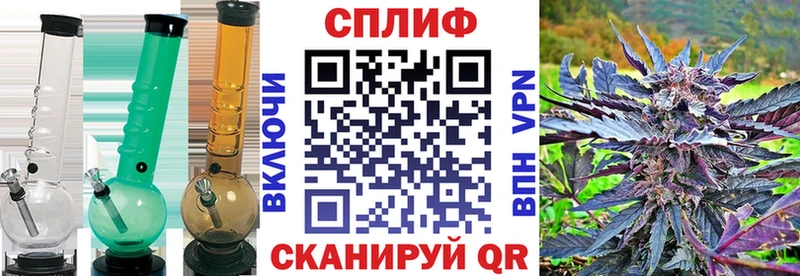 Каннабис индика  где можно купить наркотик  Вилючинск 